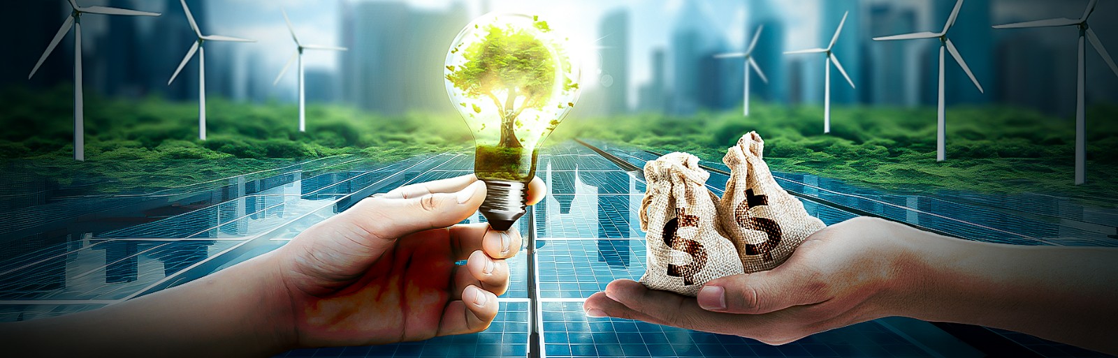 綠電是門好生意？揭開躉購制度的真相