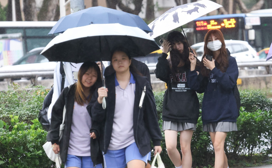 颱風假有望？中颱楊柳撲台　14縣市暴風侵襲率破7成