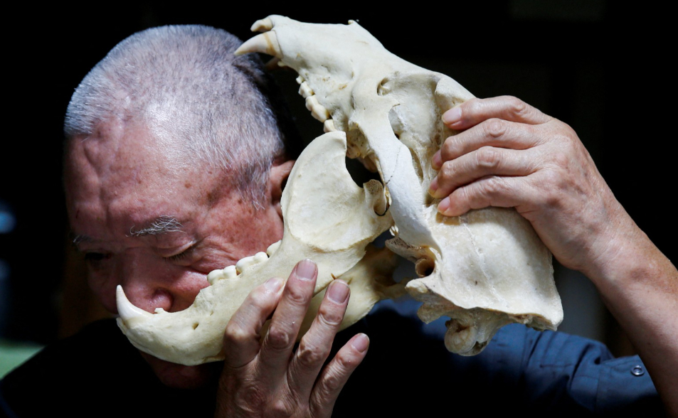 69歲「百熊獵人」扯出熊腸逃命　宛如特種部隊的熊有多恐怖？