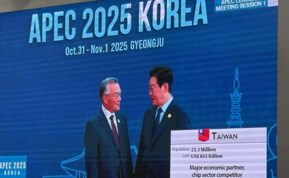 APEC峰會登場　林信義進場大會轉播畫面秀中華民國國旗