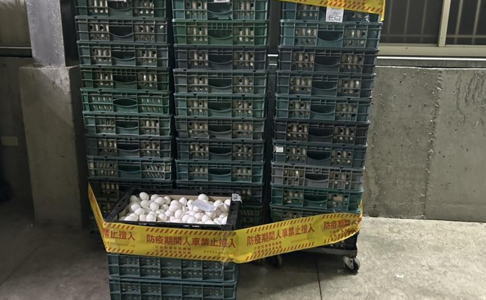 不甩移動管制！彰化4萬顆芬普尼蛋流向台中 已賣給早餐店、散戶
