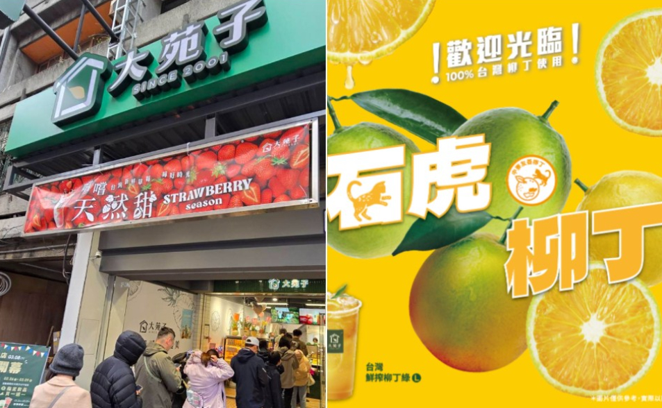 大苑子主打「石虎柳丁」　農場打臉「1顆都沒買」！關鍵始末曝光