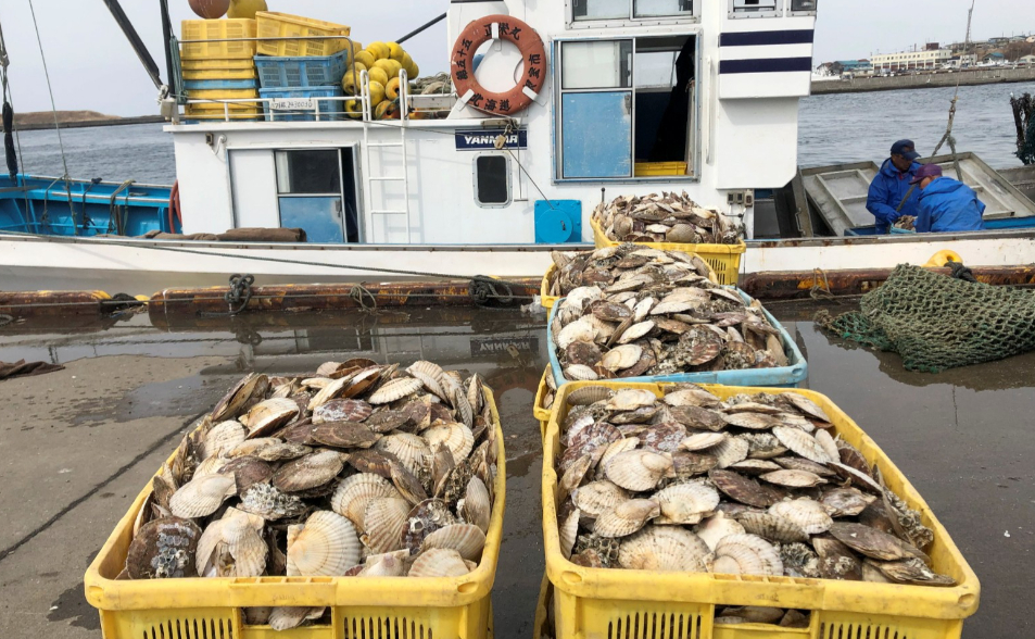 共同社：中方停止進口日本水產品　中國市場佔日出口量1/5