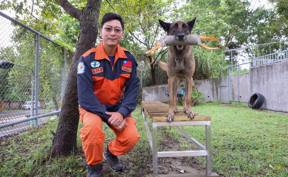 【專訪】新北搜救犬AQUA世界盃奪佳績！「實戰力被看見」領犬員吐甘苦內幕
