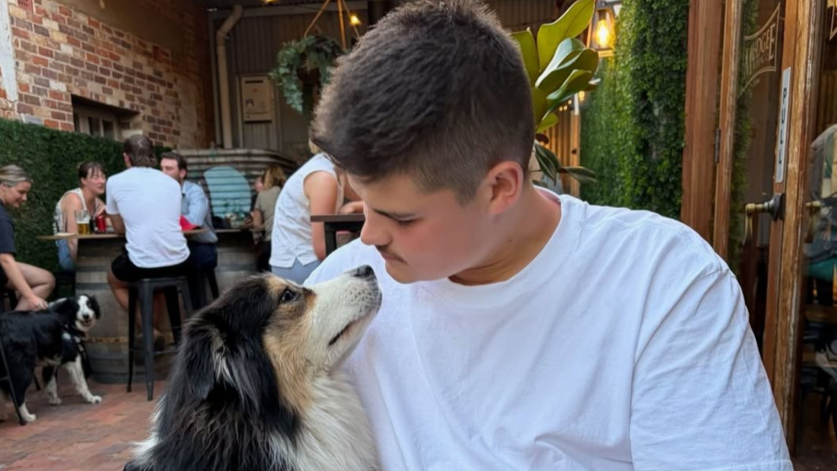 「耶誕節前夕的奇蹟」　雪梨恐攻警員頭部中彈、今出院返家休養