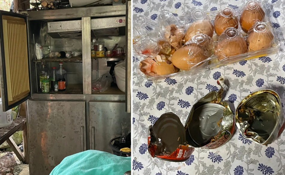 阿里山工寮首見黑熊！海拔1129公尺處 翻冰箱開罐頭大啖雞蛋