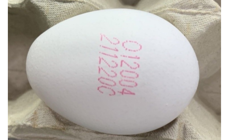 餐飲、早餐店「限用洗選蛋」震撼蛋價　農業部最新說明