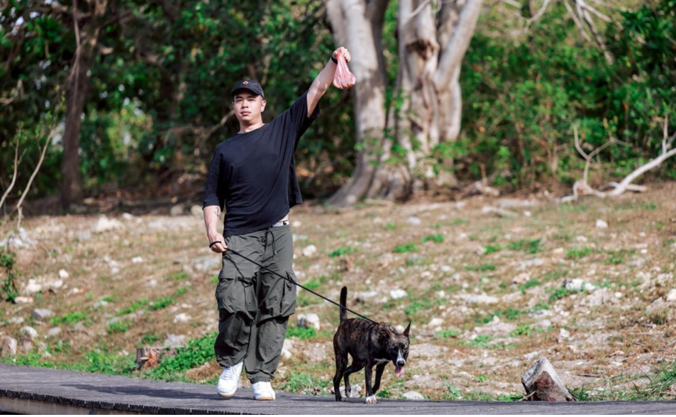 【浪犬僵局2-2】不必等修法！農業部犬蹤圖、收容所難治本　學界：先做好這項
