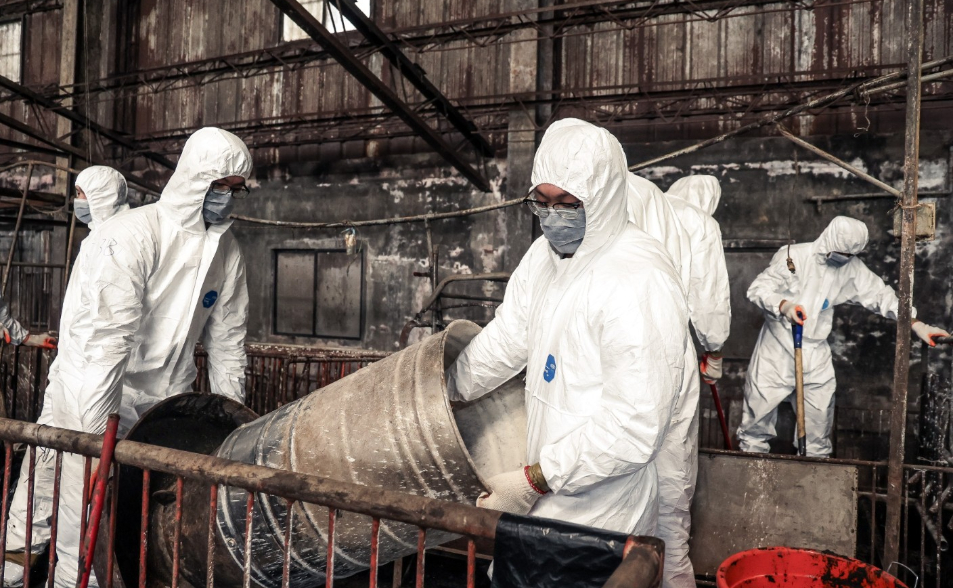 非洲豬瘟首例！烹煮廚餘照片造假、病死豬照賣　起訴台中梧棲豬農父子求重刑