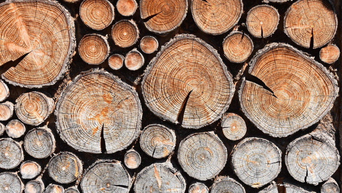 【每日揭詐】假參廠真吸金！木業老闆誆「月息2%」誘投資　苦主慘賠351萬換一疊芭樂票