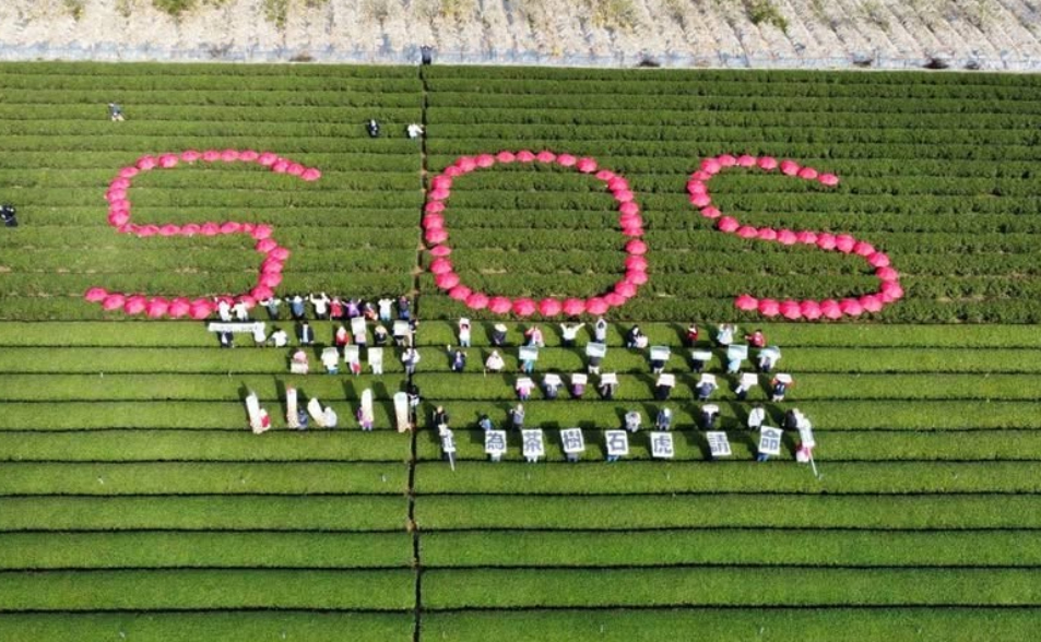【深度報導】從南投焚化爐爭議看台灣戒不掉的末端治理癮　「雞尾酒療法」該如何對症下藥