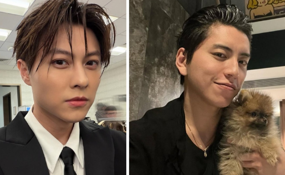 【一文看懂】王子50萬元交保「有玄機」　王大陸耍笨掀19男星閃兵！現況曝