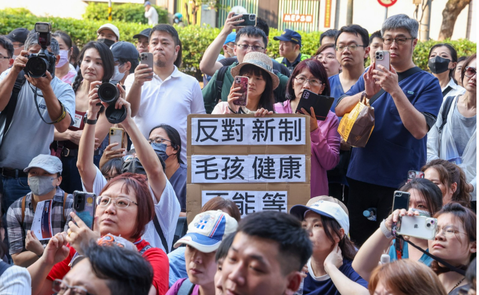 【深度報導】從「灰色地帶」到「灰頭土臉」　揭開動物用藥新制盲點！毛孩醫療權怎解？