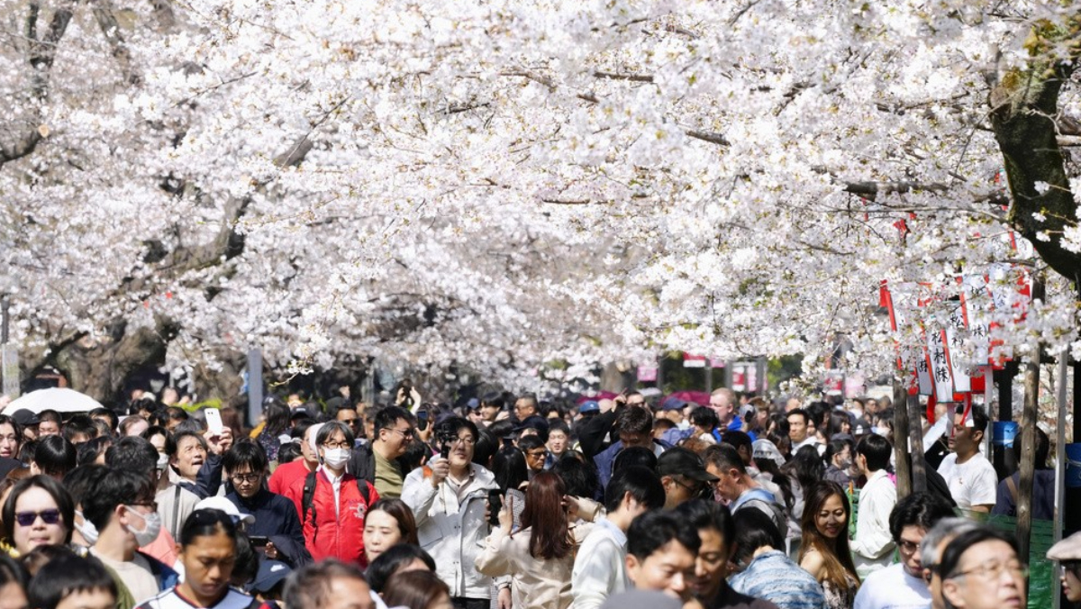 人口老化新生萎縮　日本訂出15年內整併廢除40%私立大學目標