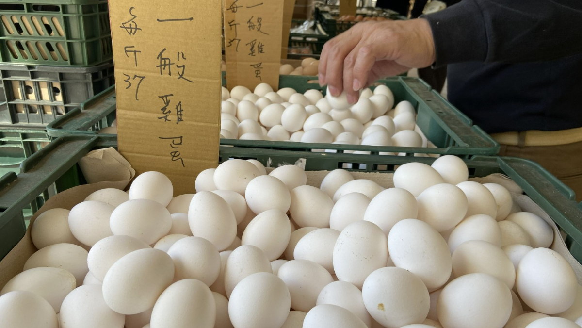 長蟲、發霉照用！前全台第二大蛋商「賣黑心蛋」撈5千萬 老闆改判2年8月