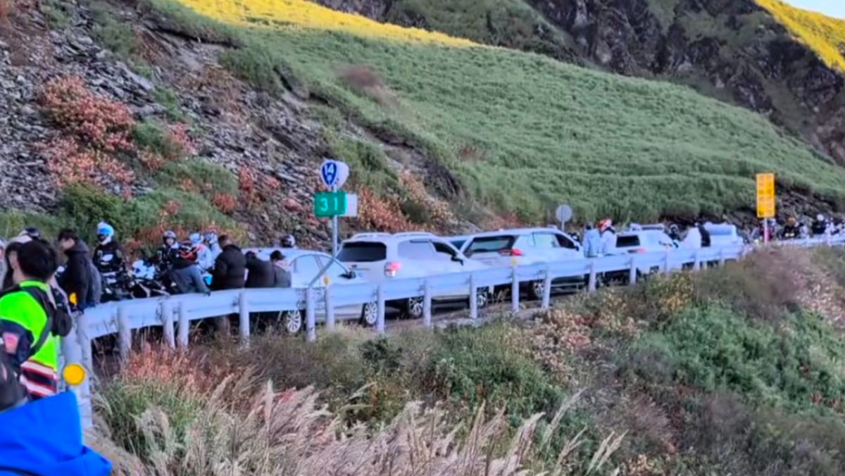 白賓士違停、駕駛跑了！害200車慘塞　搶看國慶武嶺日出亂成一團
